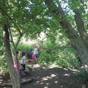 September v Kojskem September v Kojskem