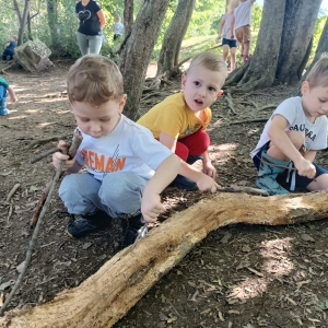 September v Kojskem September v Kojskem