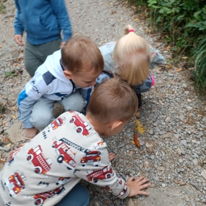 September v Kojskem September v Kojskem