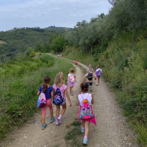 September v Kojskem September v Kojskem