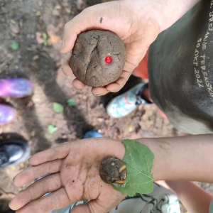 September v Kojskem September v Kojskem