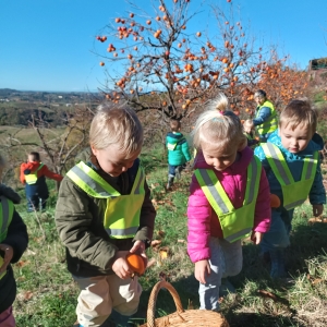 Teden slovenske hrane v Kojskem