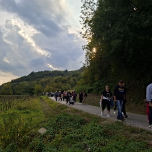 Pohod z nonotami in nonami