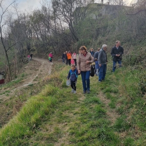 Pohod z nonami in nonoti