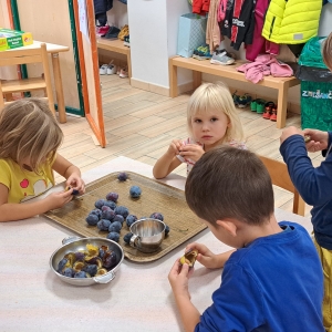 Kuhali smo marmelado