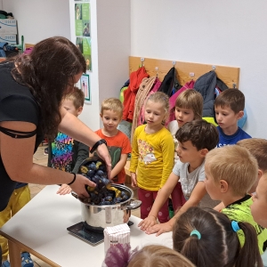 Kuhali smo marmelado