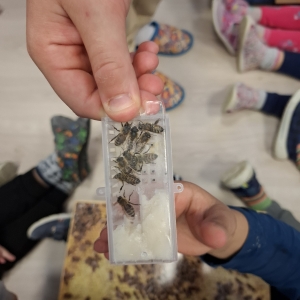 TRADICIONALNI SLOVENSKI ZAJTRK