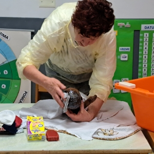 Medgeneracijsko sodelovanje