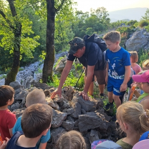 Zaključek starejših  skupin