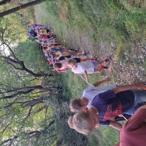 Zaključek starejših  skupin