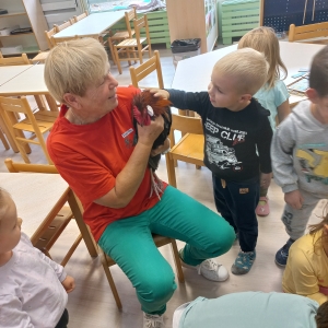 Kokošja družina Kokošja družina