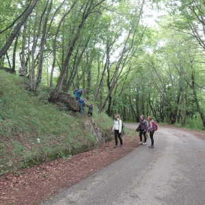Pohod na Sabotin