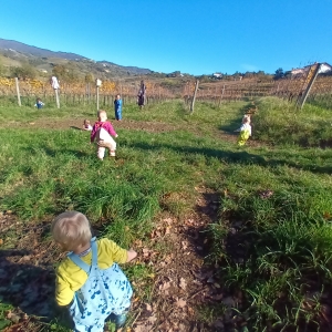 Mali medo v roza igralnici