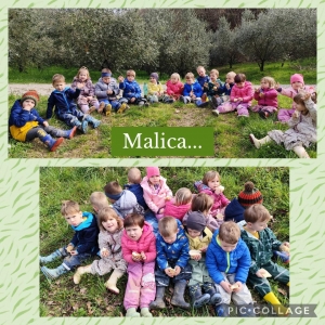 DOPOLDNE V NARAVI V SKUPINI MEDVEDKI