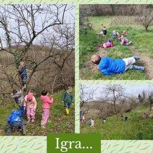 DOPOLDNE V NARAVI V SKUPINI MEDVEDKI