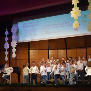 Festival pesmi in plesa