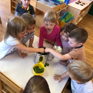 Spoznavanje zelišč s čutili