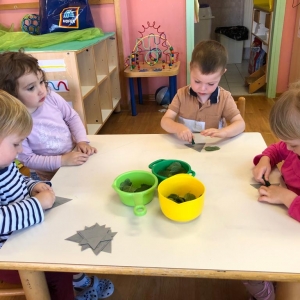 Spoznavanje zelišč s čutili