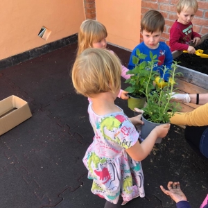 Spoznavanje zelišč s čutili