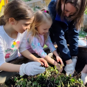 Dišeča zelišča v našem vrtcu