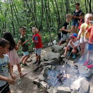 Zaključek skupine Dragulji