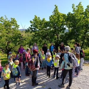 Na pohodu z upokojenkami