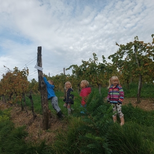 Teden otroka v Kojskem Teden otroka v Kojskem