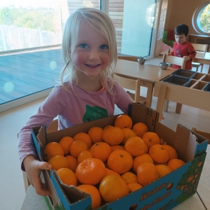 Mandarine iz doline reke Neretve