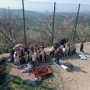 Dišeča zelišča v našem vrtcu