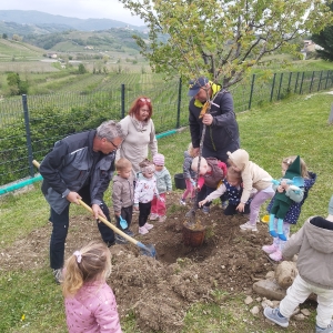 Zeleni škrat v oranžni igralnici