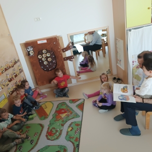 Sove in naše družine Sove in naše družine