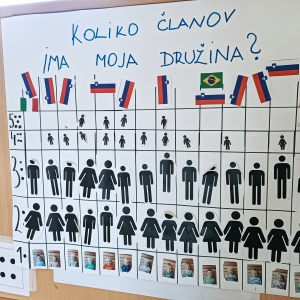 Sove in naše družine Sove in naše družine