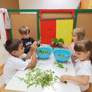 Pripravili smo metin in melisin sirup