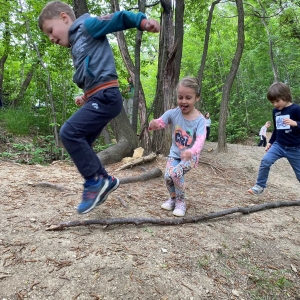 Gozdne olimpijske igre