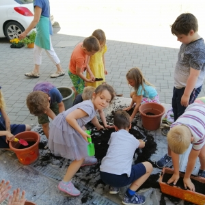Ohranimo čebele, posadimo medovite rastline