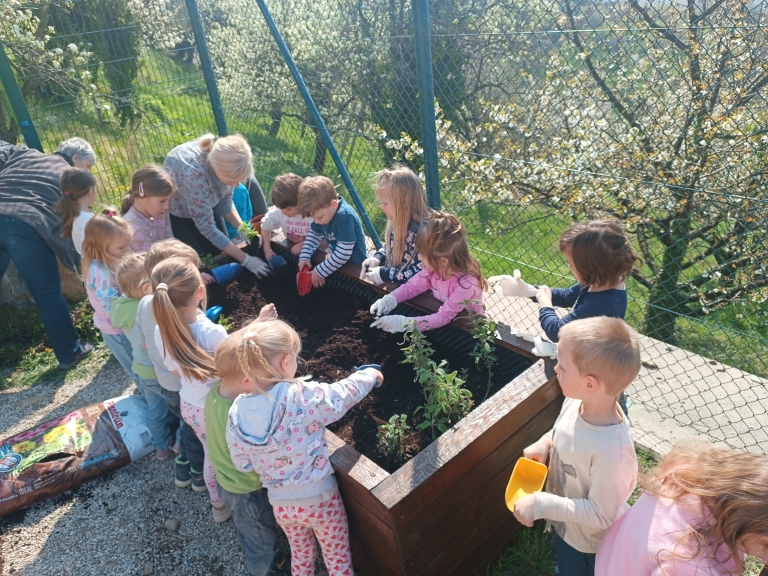 Dišeča zelišča v našem vrtcu