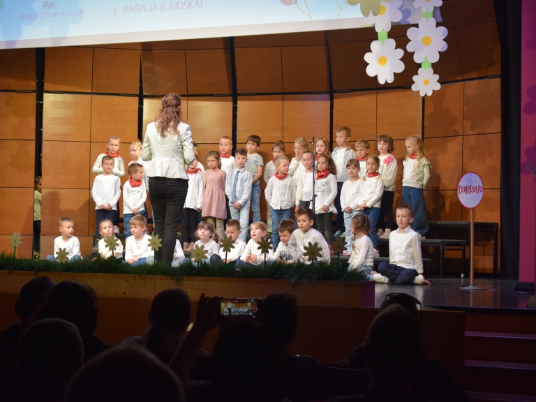 Festival pesmi in plesa