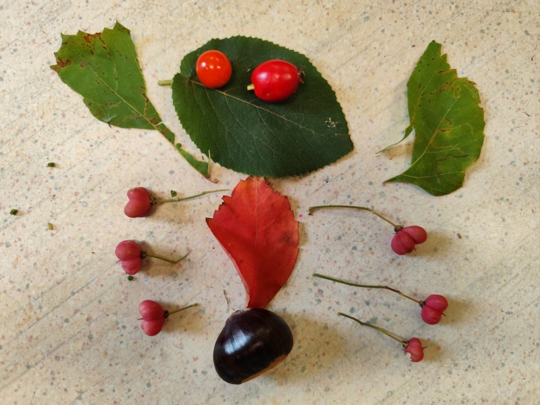 Naravni materiali pri Medvedih