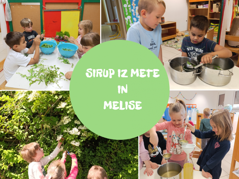 Pripravili smo metin in melisin sirup