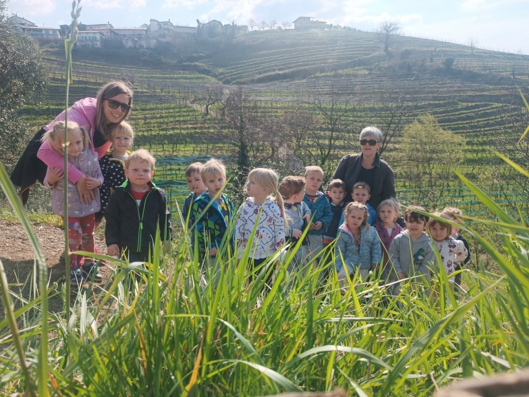 Sove na pohodu prvi pomladni dan